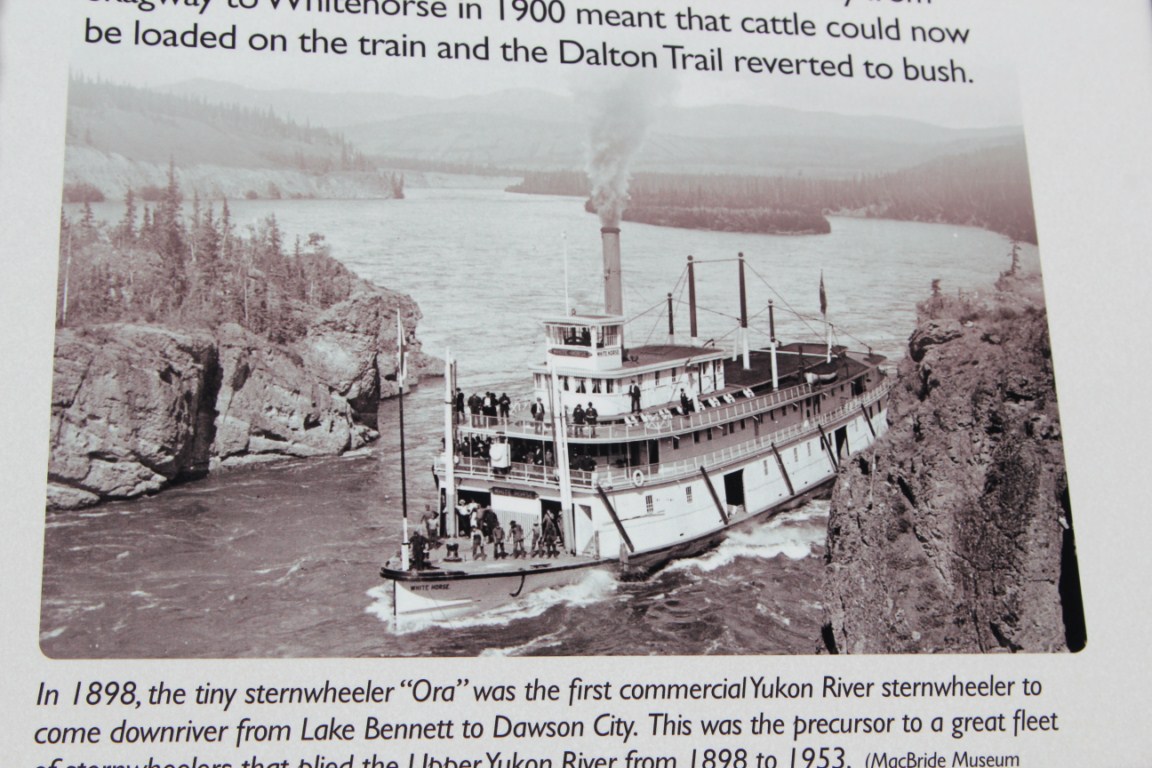 A testy bastard, at times.: Five Finger Rapids, Yukon.